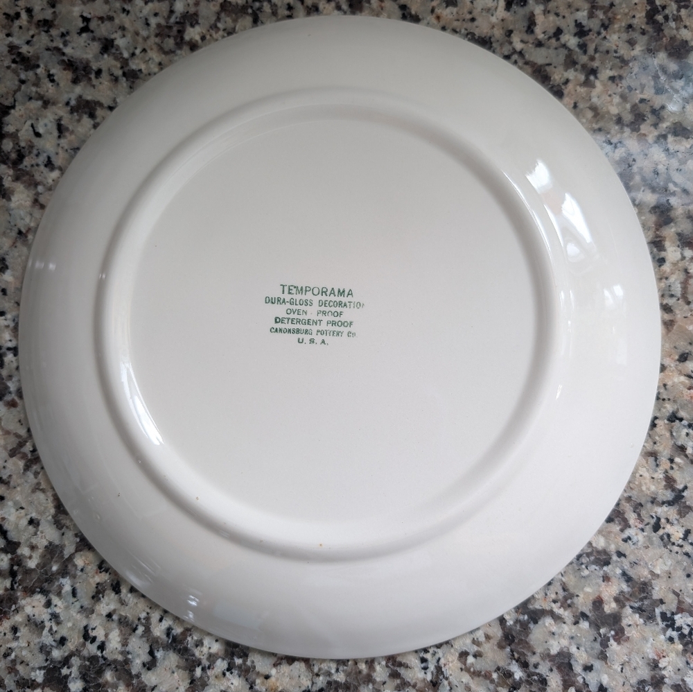 Temporama Cannonsburg Pottery Co Mid Century Dinner Plate - Picture 2 of 4